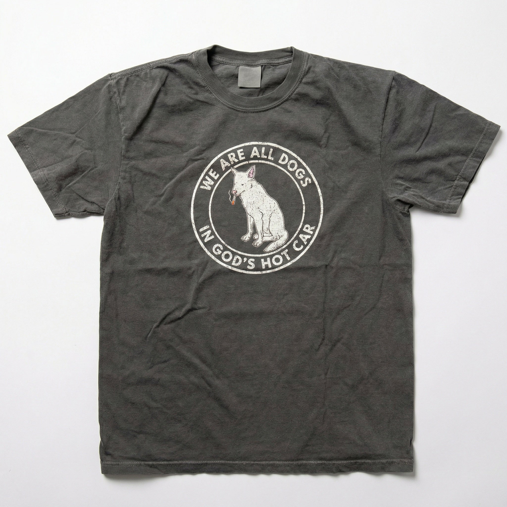 We Are All Dogs In God's Hot Car T-Shirt