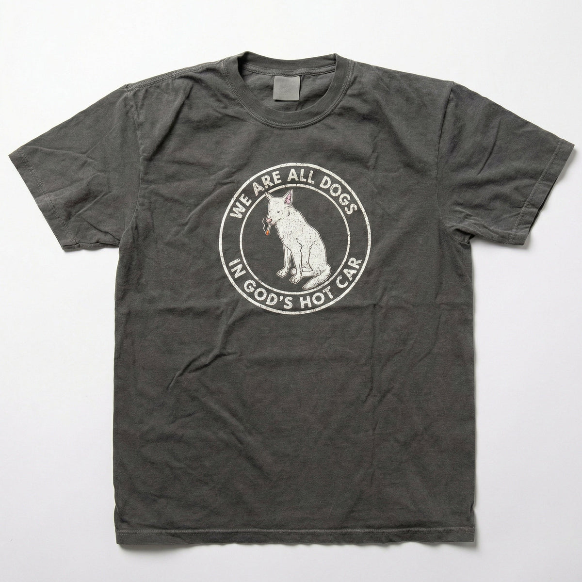 We Are All Dogs In God's Hot Car T-Shirt