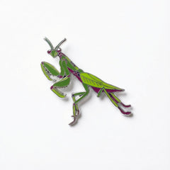 Mantis Pin
